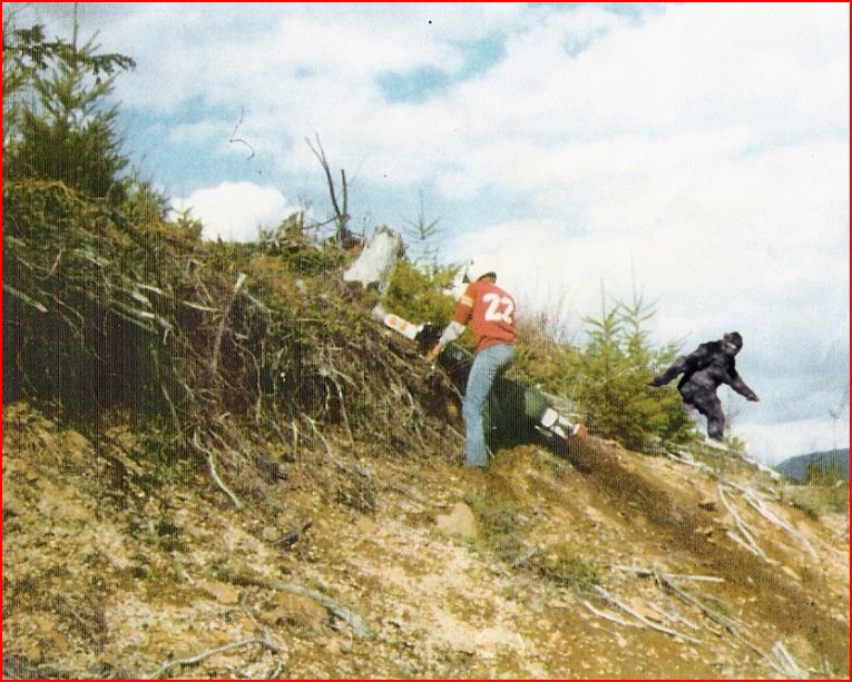 bigfoot